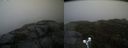 ./images/calvert/buxton2/20191017/buxton220191017_140502M.jpg