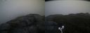 ./images/calvert/buxton2/20191018/buxton220191018_080503M.jpg