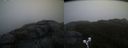 ./images/calvert/buxton2/20191018/buxton220191018_081003M.jpg