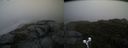 ./images/calvert/buxton2/20191019/buxton220191019_100002M.jpg