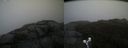 ./images/calvert/buxton2/20191019/buxton220191019_104502M.jpg
