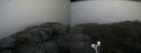 ./images/calvert/buxton2/20191020/buxton220191020_124502M.jpg