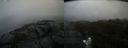 ./images/calvert/buxton2/20191020/buxton220191020_130502M.jpg