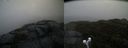./images/calvert/buxton2/20191020/buxton220191020_145003M.jpg