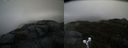 ./images/calvert/buxton2/20191020/buxton220191020_145503M.jpg