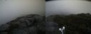./images/calvert/buxton2/20191020/buxton220191020_165503M.jpg