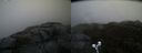 ./images/calvert/buxton2/20191020/buxton220191020_173503M.jpg
