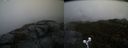 ./images/calvert/buxton2/20191020/buxton220191020_175502M.jpg