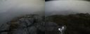 ./images/calvert/buxton2/20191021/buxton220191021_134503M.jpg