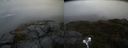 ./images/calvert/buxton2/20191021/buxton220191021_135003M.jpg