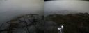./images/calvert/buxton2/20191021/buxton220191021_135503M.jpg