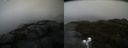 ./images/calvert/buxton2/20191021/buxton220191021_151002M.jpg