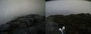 ./images/calvert/buxton2/20191021/buxton220191021_152502M.jpg
