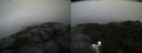 ./images/calvert/buxton2/20191021/buxton220191021_154002M.jpg