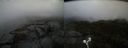 ./images/calvert/buxton2/20191021/buxton220191021_163003M.jpg