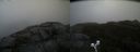 ./images/calvert/buxton2/20191022/buxton220191022_110503M.jpg
