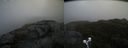 ./images/calvert/buxton2/20191022/buxton220191022_113002M.jpg
