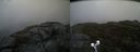 ./images/calvert/buxton2/20191022/buxton220191022_123003M.jpg