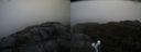 ./images/calvert/buxton2/20191024/buxton220191024_120006M.jpg