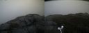 ./images/calvert/buxton2/20191024/buxton220191024_123502M.jpg