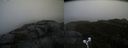 ./images/calvert/buxton2/20191024/buxton220191024_130002M.jpg