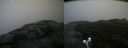 ./images/calvert/buxton2/20191024/buxton220191024_161502M.jpg