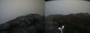 ./images/calvert/buxton2/20191024/buxton220191024_162502M.jpg