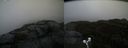 ./images/calvert/buxton2/20191024/buxton220191024_163003M.jpg