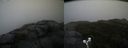 ./images/calvert/buxton2/20191024/buxton220191024_163502M.jpg