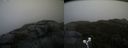 ./images/calvert/buxton2/20191024/buxton220191024_164002M.jpg
