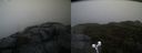 ./images/calvert/buxton2/20191024/buxton220191024_164503M.jpg