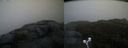 ./images/calvert/buxton2/20191024/buxton220191024_170503M.jpg