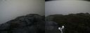 ./images/calvert/buxton2/20191024/buxton220191024_171003M.jpg