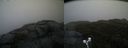 ./images/calvert/buxton2/20191024/buxton220191024_172503M.jpg