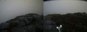 ./images/calvert/buxton2/20191024/buxton220191024_173503M.jpg