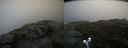 ./images/calvert/buxton2/20191024/buxton220191024_174503M.jpg