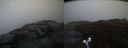./images/calvert/buxton2/20191024/buxton220191024_181003M.jpg