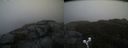 ./images/calvert/buxton2/20191030/buxton220191030_102503M.jpg