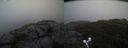 ./images/calvert/buxton2/20191030/buxton220191030_104003M.jpg
