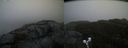 ./images/calvert/buxton2/20191030/buxton220191030_105503M.jpg