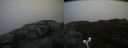 ./images/calvert/buxton2/20191030/buxton220191030_131003M.jpg