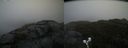 ./images/calvert/buxton2/20191030/buxton220191030_131503M.jpg