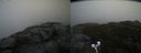 ./images/calvert/buxton2/20191030/buxton220191030_132503M.jpg