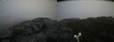 ./images/calvert/buxton2/20191030/buxton220191030_151502M.jpg