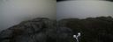 ./images/calvert/buxton2/20191030/buxton220191030_154503M.jpg