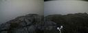 ./images/calvert/buxton2/20191031/buxton220191031_140503M.jpg