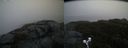 ./images/calvert/buxton2/20191102/buxton220191102_085002M.jpg