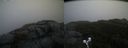 ./images/calvert/buxton2/20191102/buxton220191102_092502M.jpg