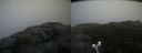 ./images/calvert/buxton2/20191102/buxton220191102_104503M.jpg