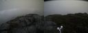 ./images/calvert/buxton2/20191102/buxton220191102_114502M.jpg